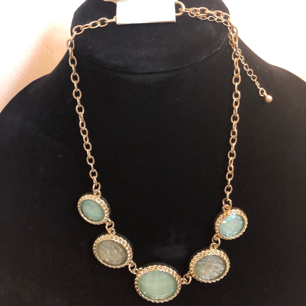 New Charming Charlie earrings/necklace